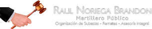 RAÚL NORIEGA BRANDON